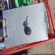 1GCEK14T42Z280238 2002 Chevrolet Silverado 1500 Ls auction photo thumbnail 11