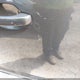 2C4RDGEG6JR145920 2018 Dodge Grand Caravan Gt auction photo thumbnail 19