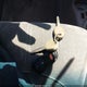 3C8FY4BB51T622136 2001 Chrysler Pt Cruiser auction photo thumbnail 11