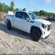 3GTUUCE89PG255032 2023 GMC Sierra 1500 4Wd Short Box Elevation With 3Sb auction photo thumbnail 1