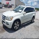 4JGBF7BE0AA564019 2010 Mercedes-Benz Gl 450 4Matic auction photo thumbnail 2