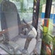 1FF035DXEA0265876 2011 John Deere 35D Mini Excavator auction photo thumbnail 5