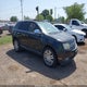 2LMDJ6JC8ABJ19070 2010 Lincoln Mkx auction photo thumbnail 1