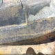 2C3CDXHGXHH628154 2017 Dodge Charger Sxt Rwd auction photo thumbnail 9