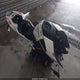 MD2JPJ404NC272549 2022 Ktm 390 Duke auction photo thumbnail 1