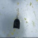 1FAHP34N87W118266 2007 Ford Focus S/Se/Ses auction photo thumbnail 11