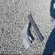 5XYZK4AG9CG127249 2012 Hyundai Santa Fe Limited V6 auction photo thumbnail 12
