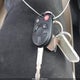 1FMCU9EG3AKA12883 2010 Ford Escape Limited auction photo thumbnail 11