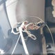 2HGFB2F94DH539911 2013 Honda Civic Ex-L auction photo thumbnail 11