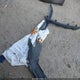 5J6RE4H48BL027935 2011 Honda Cr-V Se auction photo thumbnail 12