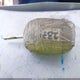 3FA6P0H73DR365324 2013 Ford Fusion Se auction photo thumbnail 11