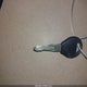 5N1ED28Y51C543968 2001 Nissan Xterra Se auction photo thumbnail 11