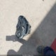 JKBZXVE14LA005319 2020 Kawasaki Zx1002 auction photo thumbnail 12