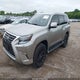 JTJAM7BX2L5253269 2020 Lexus Gx 460 Premium auction photo thumbnail 2