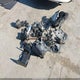 1HGCT1B82FA001099 2015 Honda Accord Ex-L auction photo thumbnail 12