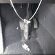 3VV3B7AX8JM188259 2018 Volkswagen Tiguan 2.0T Se/2.0T Sel auction photo thumbnail 11