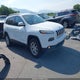 1C4PJMCB8HW530483 2017 Jeep Cherokee Latitude 4X4 auction photo thumbnail 1
