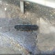 4T1BE46K38U234210 2008 Toyota Camry Se auction photo thumbnail 12