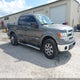 1FTFW1CT6DFC38958 2013 Ford F-150 Xlt auction photo thumbnail 1