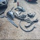 5N1CZ2MG7GN112650 2016 Nissan Murano Hybrid Platinum auction photo thumbnail 12