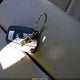 5UXZW0C53BL656299 2011 BMW X5 xDrive35D auction photo thumbnail 11