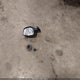 1HGCP36819A001996 2009 Honda Accord Sdn 3.5 Ex-L/Ex-L auction photo thumbnail 12
