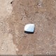 KNAFZ6A32F5366921 2015 Kia Forte Koup Sx auction photo thumbnail 12