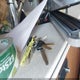 1F6NF53Y060A06248 2006 Ford F550 Super Duty Stripped Chass auction photo thumbnail 11