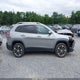 1C4PJMDX3MD209175 2021 Jeep Cherokee Limited 4X4 auction photo thumbnail 13