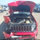 ZACNJBBB3LPL29719 2020 Jeep Renegade Latitude 4X4 auction photo thumbnail 10