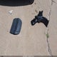 2GNAXHEV9N6113986 2022 Chevrolet Equinox Fwd Ls auction photo thumbnail 12