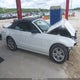 1ZVBP8EM3D5239417 2013 Ford Mustang V6 auction photo thumbnail 14