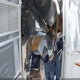 1STXFYJ20KJ545495 2019 Airstream International auction photo thumbnail 5