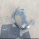 JTHP9JBHXM2046277 2021 Lexus Ux 250H auction photo thumbnail 12