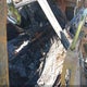 2G1FK1EJ0C9198898 2012 Chevrolet Camaro 2Ss auction photo thumbnail 8