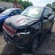 3C4NJDDB5NT197778 2022 Jeep Compass Trailhawk 4X4 auction photo thumbnail 2