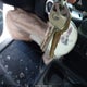 3TMGZ5AN3KM247329 2019 Toyota Tacoma Limited auction photo thumbnail 11