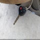 4T1BE46K87U621351 2007 Toyota Camry Le auction photo thumbnail 11