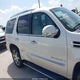 1GYFK638X7R174585 2007 Cadillac Escalade Standard auction photo thumbnail 13