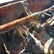 1FTWW32F31ED21191 2001 Ford F-350 Lariat/Xl/Xlt auction photo thumbnail 6