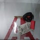 1NXBU4EE5AZ335513 2010 Toyota Corolla Le auction photo thumbnail 11
