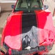 1ZVHT80N095106353 2009 Ford Mustang V6/V6 Premium auction photo thumbnail 10
