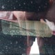 1ZVHT80N095106353 2009 Ford Mustang V6/V6 Premium auction photo thumbnail 9