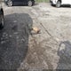 JS3TD941584100559 2008 Suzuki Grand Vitara auction photo thumbnail 12