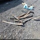 3D7MX48C66G275580 2006 Dodge Ram 3500 Laramie auction photo thumbnail 11