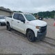 3GCPYCEF7KG305449 2019 Chevrolet Silverado 1500 Custom Trail Boss auction photo thumbnail 1