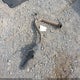 2T3DFREV6FW398036 2015 Toyota Rav4 Limited auction photo thumbnail 12
