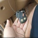 1GNDS13S822512120 2002 Chevrolet Trailblazer Ls auction photo thumbnail 11