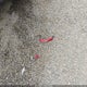 5NPD74LF2HH211347 2017 Hyundai Elantra Se auction photo thumbnail 12