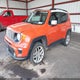 ZACNJDBB1MPM76523 2021 Jeep Renegade Islander 4X4 auction photo thumbnail 2